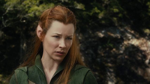 Хоббит: Пустошь Смауга (Фильм, 2013) смотреть онлайн