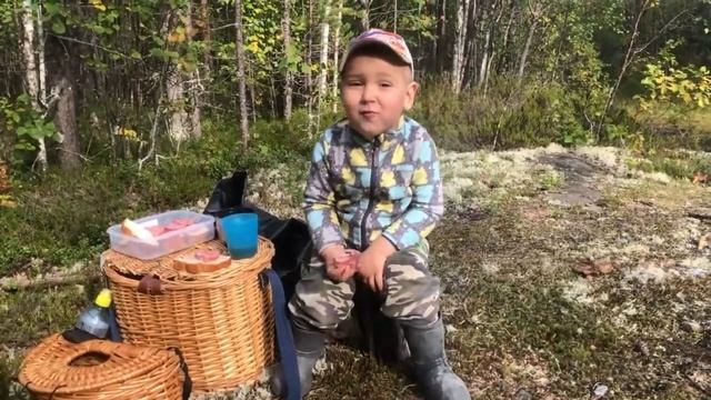 ЗА ГРИБАМИ С СЫНОВЬЯМИ!!!ТИХАЯ ОХОТА.КАРЕЛИЯ.КОРЗИНА ГРИБОВ. смотреть онлайн