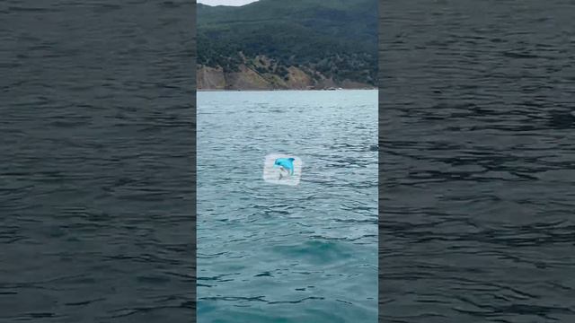 Дельфинчик, Чёрное море, Севастополь смотреть онлайн