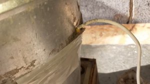 Как сделать шпарчан для птицы за 3 минуты.