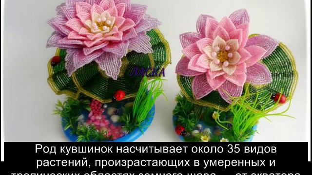 The best water lilies оf beads. Очень красивые кувшинки из бисера + легенды смотреть онлайн