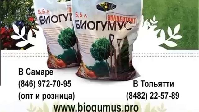 Выращивание картофеля. Томаты, перцы, баклажаны. смотреть онлайн