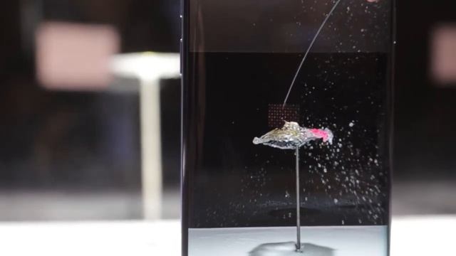 Samsung Galaxy S9 Hands On inklusive Super Slow Motion Aufnahme смотреть онлайн