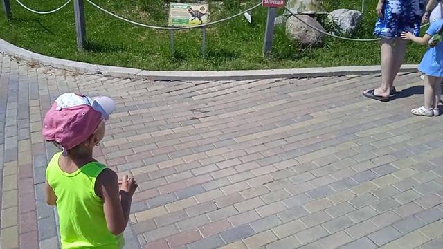 Стризнево смотреть онлайн