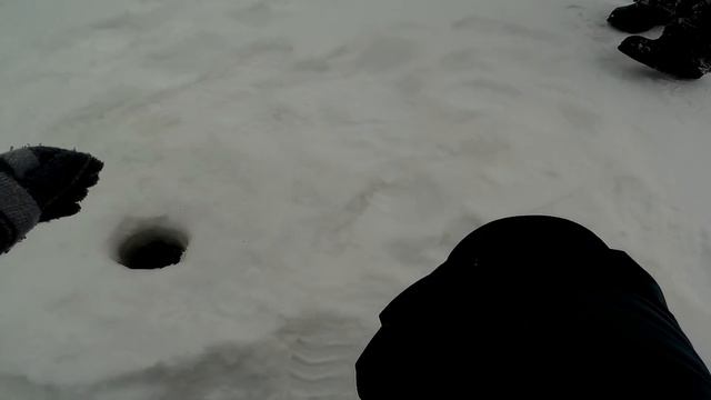 БЕЗМОТЫЛКА В ГЛУХОЗИМЬЕ!!! смотреть онлайн