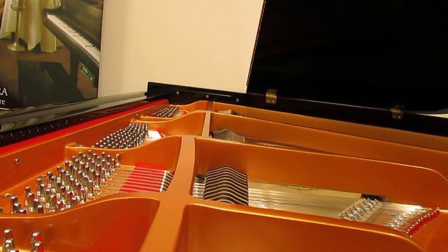 Ritmuller R series Grand Piano 5'3" R-9 смотреть онлайн