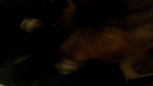 прикольный кот смотреть не всем но не знаю смотреть онлайн