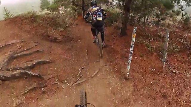 Fly Amanita смотреть онлайн