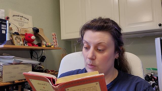 Bram Stoker's Dracula chapter six (6) - Interrupted Storytime смотреть онлайн