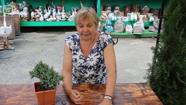 Подкормка овощей в период плодоношения? Кабачки Баклажаны огурцы. Эксперты Хитсад ТВ смотреть онлайн