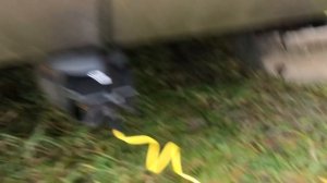 Как Проверить Розетку Фаркопа Автомобиля ТСУ