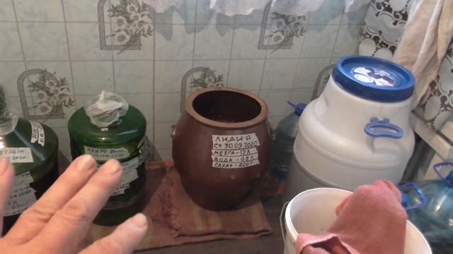 ЧТО Я СДЕЛАЛ МЕЗГА ЗАБРОДИЛА СРАЗУ смотреть онлайн