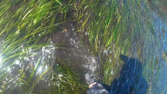 Заставил жену надувать лодку и везти меня за устрицами | Сахалин | Озеро Буссе смотреть онлайн