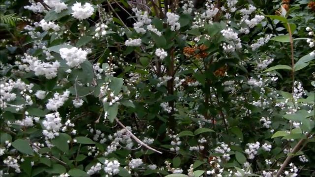 Всем всем и Владленке обещанное-- показываю дейцию смотреть онлайн