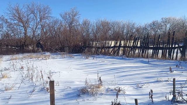 Дача выглядит так 22-ого Декабря, снег лёг, образовалась корка наста и вот это нормально смотреть онлайн
