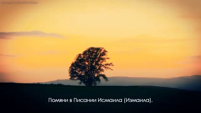 Сура Марьям. Аяты 41 -63 смотреть онлайн