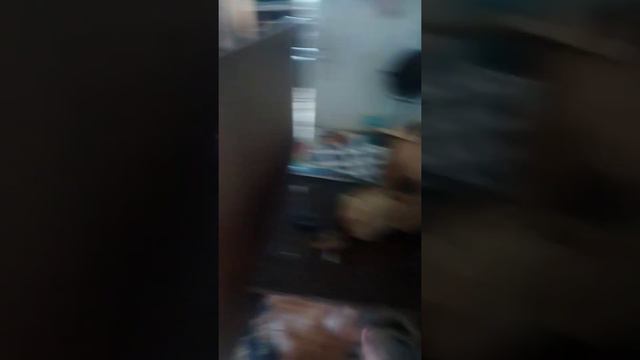 Как выглядит комната фурсьютера смотреть онлайн