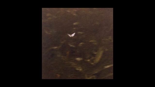 пошлая молли - даже моя бэйби не знает *speed up* смотреть онлайн