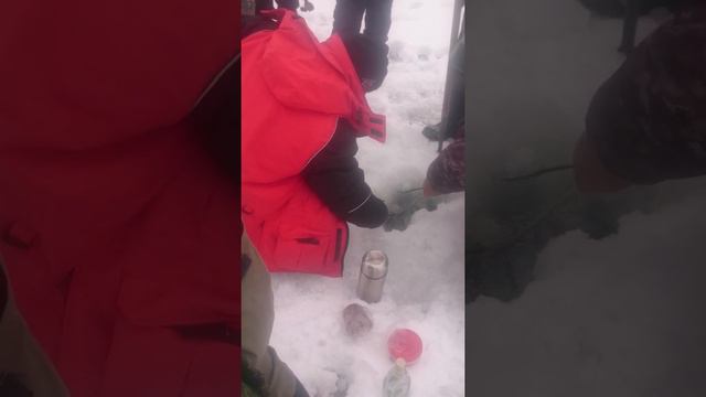 Сазан зимой на Дону, так разбуривали. смотреть онлайн