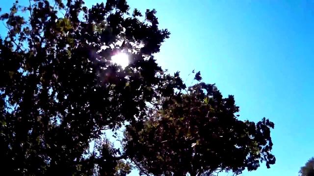 Геленджик 2015 Толстый мыс смотреть онлайн