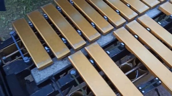 Алексей Чижик играет на виброфоне