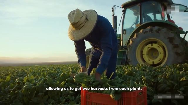 @НУТРИЛАЙТ любимый бренд