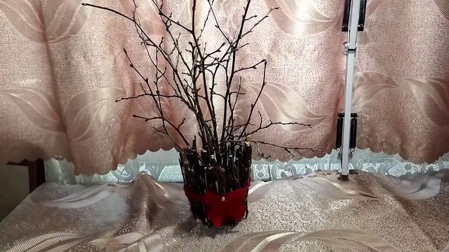 Как сделать новогоднюю экибану и игрушку на елку из веток! Новогодние идеи. смотреть онлайн