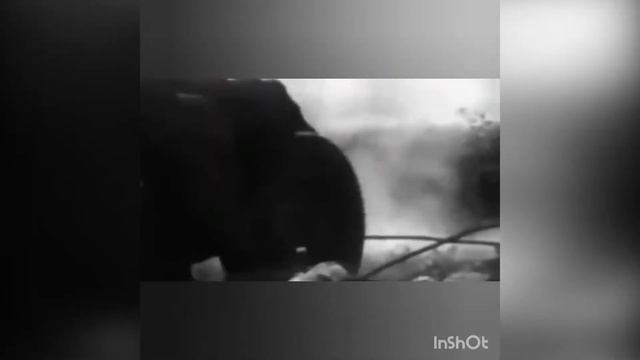 Маршал Советского Союза Иван Христофорович Баграмян. День Героев Отечества. СДК Детляжка.