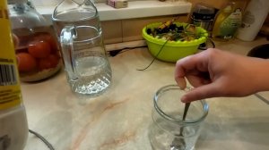 Король Севера.