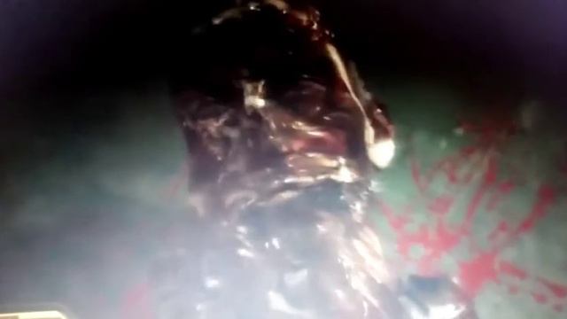 Lucas Baker Tribute смотреть онлайн