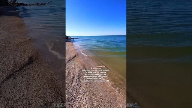 Должанская 25 июля 2023 ? #должанская #ейск #кубань #азовскоеморе #таганрогскийзалив #лето #пляж смотреть онлайн