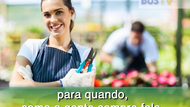 Como podar uma árvore de pequeno porte? смотреть онлайн