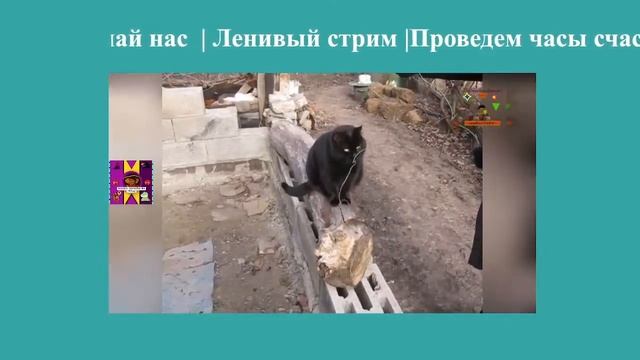 Проведём часы счастья вместе добрые составляющие мира