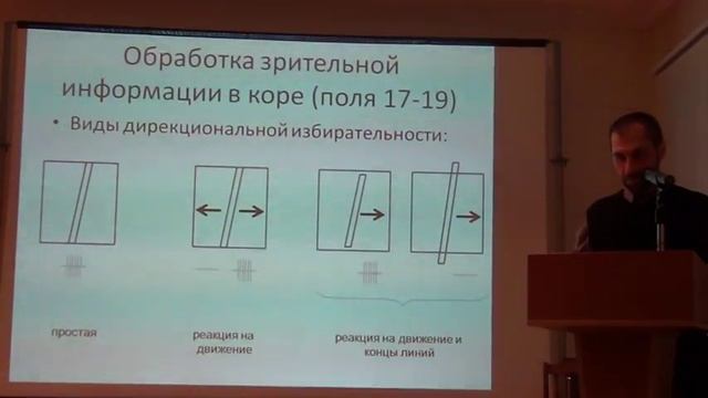 Обработка изображения в коре и подкорковых структурах 1; слух 1 смотреть онлайн