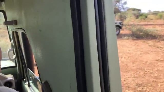 Giant Python Decided to Say Hello to Tourists смотреть онлайн