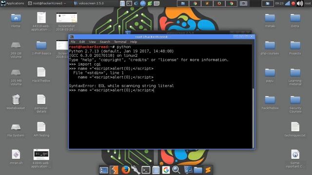 Escaping XSS payloads with Python смотреть онлайн