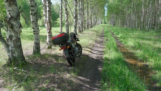 На мотоцикле после дождей, по лесам и селам, лебеди, утки, Шапкино, Новое Лепьево, лесные урочища смотреть онлайн