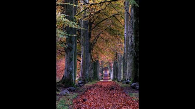 Chapter 48 Al Fatah complete #surah #quran #surahfatah смотреть онлайн