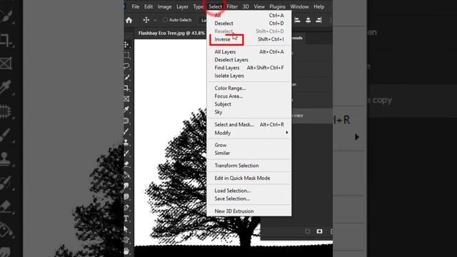 Remove Backgrounds - Short Photoshop Tutorial