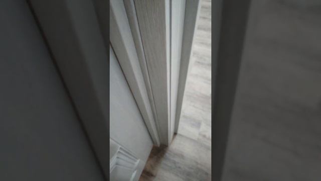 Установил три межкомнатные двери, плюс оформление проёма входной двери. смотреть онлайн