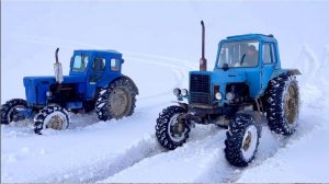 Трактор Т-40 Против Трактор Беларусь 82 | The Tractor T-40 vs Belarusian Tractor MTZ 82