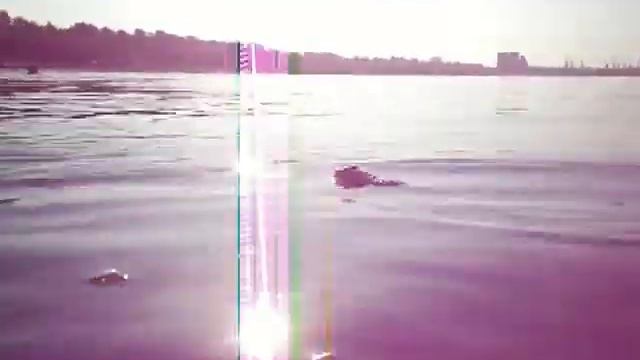 Моржи Придунавья, 15.08.2012 Папушенко с царевной Дуная смотреть онлайн