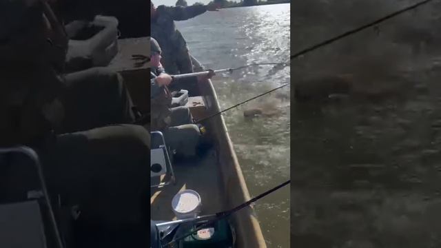 Астрахань рыбалка охота база отдыха лоцман . Рыбалка огонь 🔥 смотреть онлайн