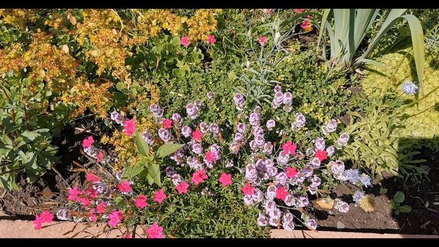 Сибирская дача в августе смотреть онлайн