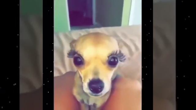 Что значит праздник смотреть онлайн