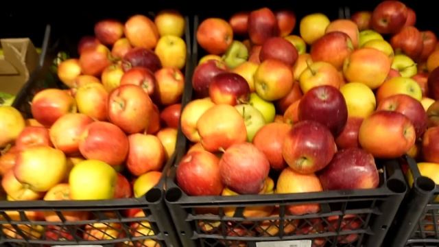 МОЯ КОСМЕТИКА ?| ЯРМАРКА | ПО МАГАЗИНАМ смотреть онлайн