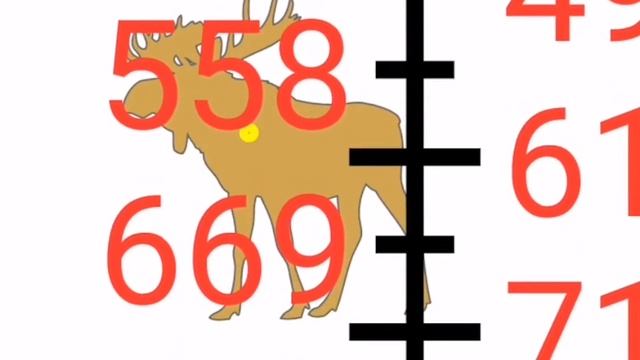 Лось на 600м ночью с тепловизионного прицела??? Реально! смотреть онлайн