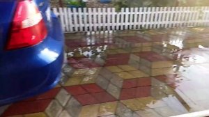 как быстро слить Бассейн#грязная вода#бассейн сливаю на плитку и цветы. помпа для перекачки воды