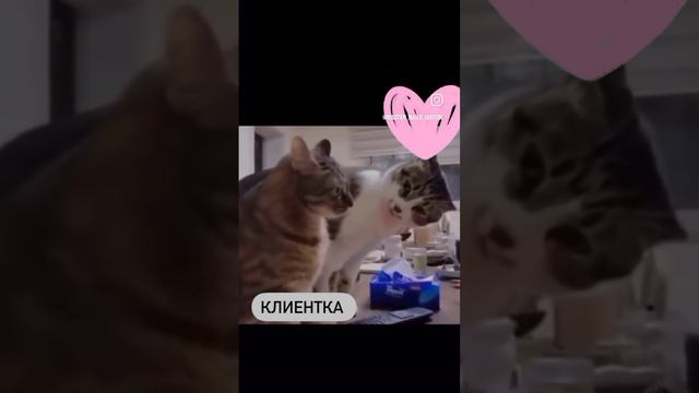 #ногтиискитим