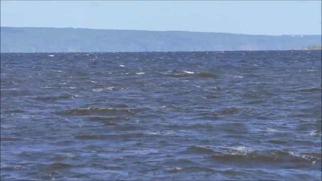 Река Волга, Ульяновск, 2020 год смотреть онлайн